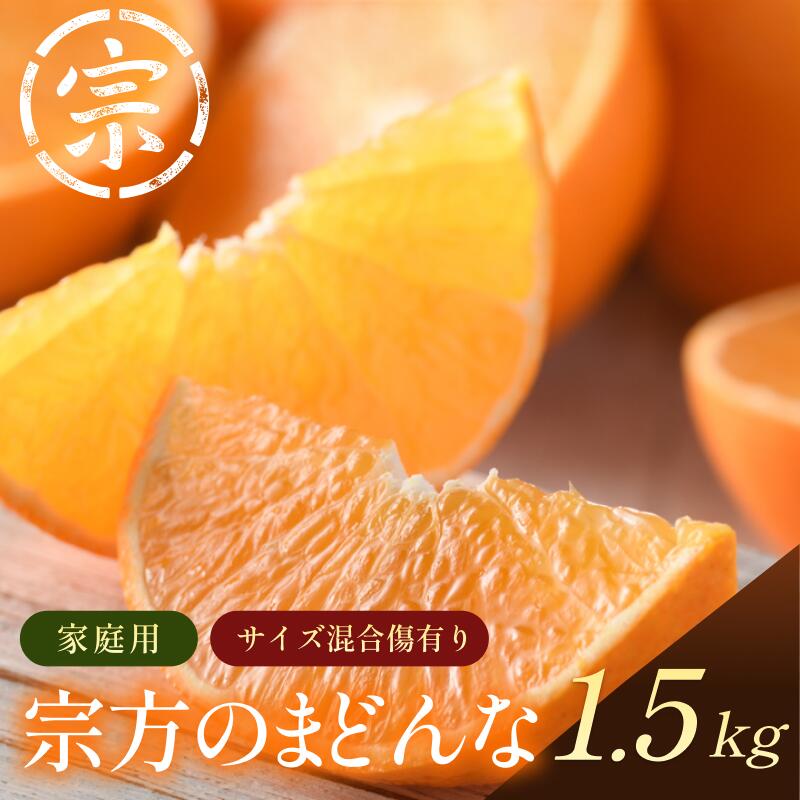 【ふるさと納税】【先行予約】宗方のまどんな（家庭用）約1.5kg【K003600K1.5】11月下旬～12月下旬に順次発送予定 紅まどんなと同品種 愛媛県 今治市 先行予約 今治産 まどんな マドンナ 高級みかん みかん フルーツ 甘い 柑橘 果物 愛媛みかん ふるさと納税