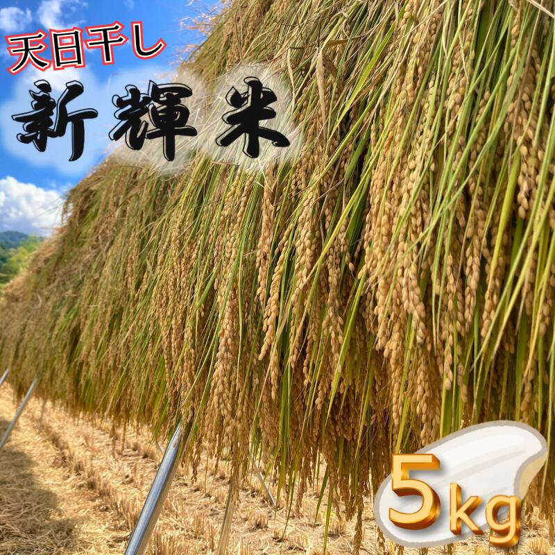【ふるさと納税】新輝米コシヒカリ 天日干し（竹パウダー使用）5kg｜鳥取 岩美 お米 白米 こしひかり【31006】
