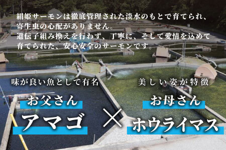 国産 生食可 姫絹サーモン冷凍フィーレ カルパッチョ 刺身 魚 魚介類 スペシャルトラウト トラウトサーモン -033
