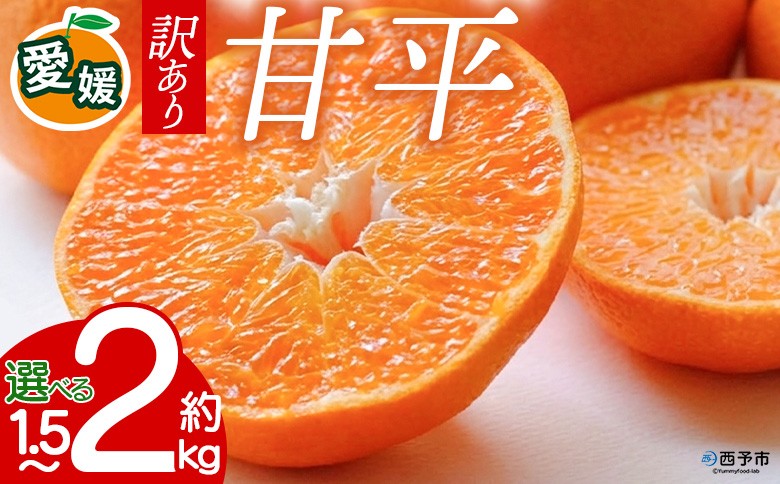 
                  【先行予約】＜訳あり 甘平 愛媛限定高級柑橘 約1.5kg／2kg＞ 『2027年1月以降順次出荷予定』選べる かんぺい ご家庭用 ご自宅用 食感 高級柑橘 希少 わけあり 果物 柑橘 フルーツ 高級 国産 果汁 産地直送 ミヤモトオレンジガーデン 愛媛県 西予市【常温】
                