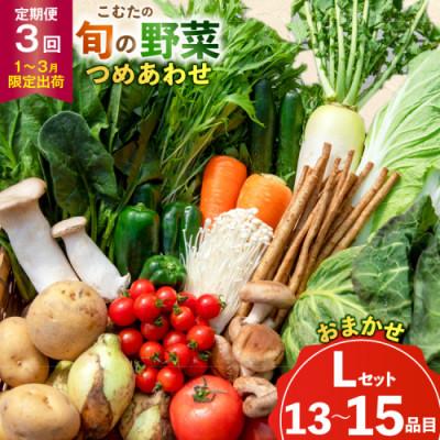 ふるさと納税 島原市 【発送月固定定期便】【1〜3月限定出荷】こむたの旬の野菜(13〜15品目)おまかせLセット全3回