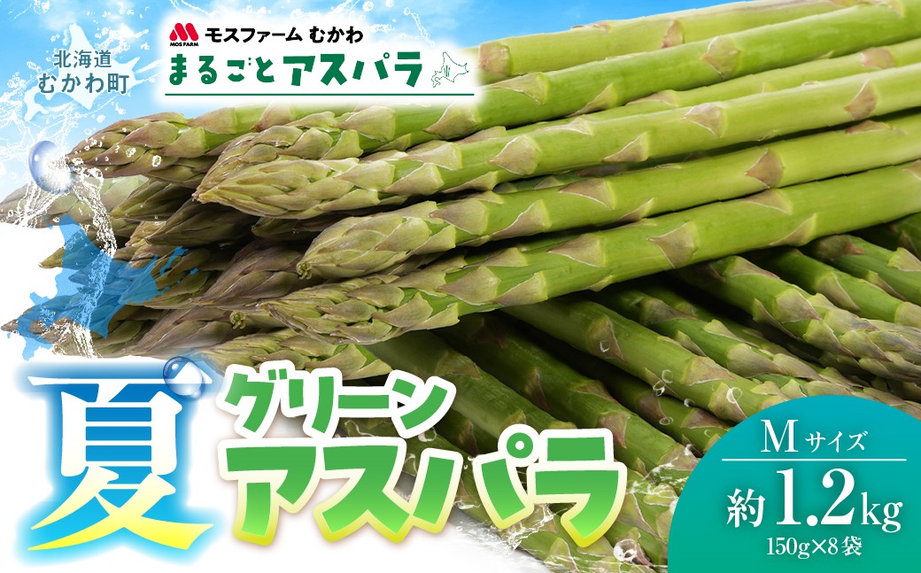 
                  夏アスパラMサイズ 約1.2kg（150g×8袋入） 【ふるさと納税 人気 おすすめ ランキング グリーンアスパラ アスパラガス 北海道産アスパラ 産地直送 新鮮野菜 朝採りアスパラ 春野菜 国産野菜 農場直送 野菜ギフト 北海道 むかわ町 送料無料】 MKWM006
                