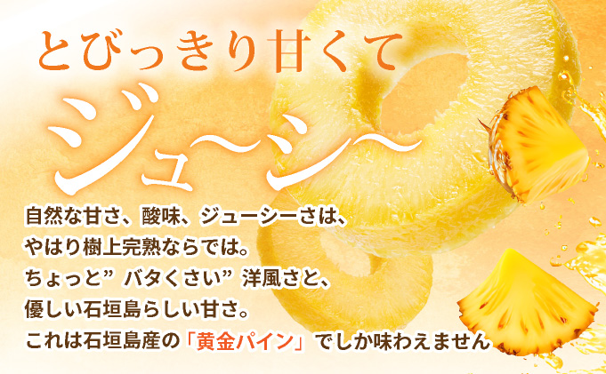 【先行予約】《2025年夏季 順次発送》黄金パイン大玉6個入 計9.0kg　SI-53