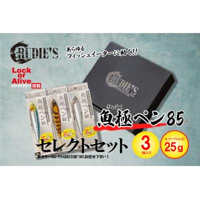 ふるさと納税 飯塚市 RUDIE‘Sの魚極ペン85(25g)セレクト3個セット 釣り具 ルアー
