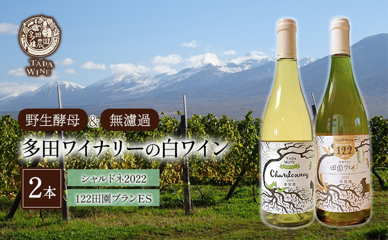 【 野生酵母 ＆ 無濾過 】 混醸ワイン ＆ シャルドネ 100%の ワイン 白2本 セット 多田ワイナリー 白ワイン お酒 ミネラル感 ミディアムボディ 白ワインセット 