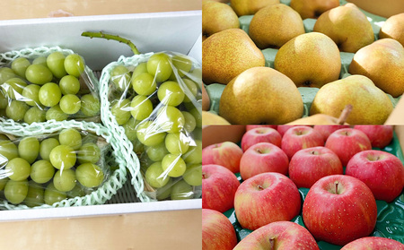 【定期便7回】ノノハナフルーツ 半年まるっと山形のフルーツ三昧 【令和8年産先行予約】FS25-076