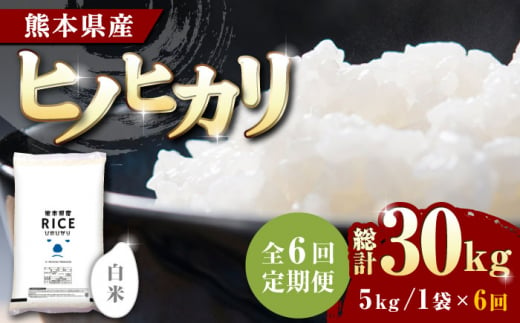 【全6回定期便】 ヒノヒカリ 白米 5kg【有限会社  農産ベストパートナー】 お米 コメ 熊本 特A 精米 ごはん 定期便 [ZBP004]