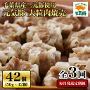 【ふるさと納税】【毎月定期便】元気豚 大粒肉焼売セット 42個セット(計2.1kg)全3回【配送不可地域：離島・沖縄県】【4055281】