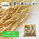 【ふるさと納税】米 若葉の舞 コシヒカリ 玄米食用2kg×2個セット 定期便12回 こしひかり セット 定期便 お米 玄米 千葉 千葉県 低温保存　定期便