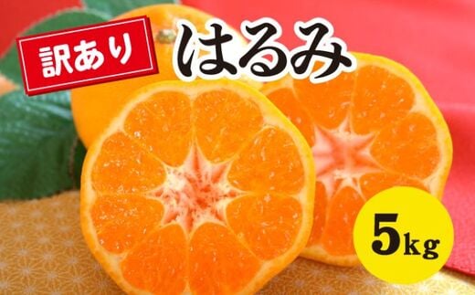 みかん 柑橘 【先行受付】【2026年2月以降発送】甘くてジューシー！瀬戸内さぎしまの訳ありはるみ ＜約5kg＞ 広島 三原 佐木島 鷺島みかんじま みかん 家庭用 017051