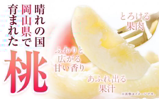 【2026年先行予約開始！】おかやま白桃 もも 桃 1kg 3~5玉前後 岡山県産 ご家庭用《2026年6月下旬-9月下旬頃出荷》岡山県 浅口市 厳選出荷 白桃  白鳳 清水白桃 おかやま夢白桃 川中