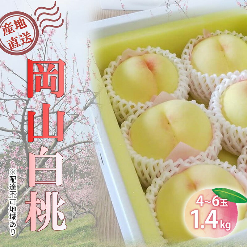 【ふるさと納税】【桃 2026年 先行予約】ご家庭用 白桃 早生、中生種 約1.4kg（4～6玉） もも モモ 岡山県 国産 フルーツ 果物　お届け：2026年6月中旬～2026年8月中旬