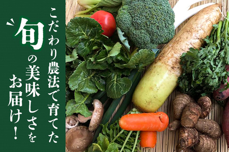 『身体が喜ぶ野菜』詰め合わせ ( おまかせ 10～12品) 野菜 詰合せ 詰め合わせセット お任せ 季節の野菜 セット 栽培期間中農薬不使用 有機栽培 微生物農法 EM農法 露地栽培 産地直送 新鮮 
