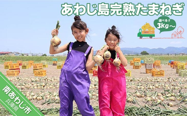 
                  【量が選べる！先行予約！】あわじ島完熟たまねぎ　◆配送６月～12月下旬
                