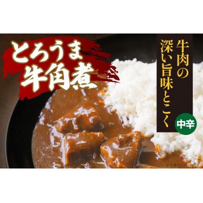 ふるさと納税 江南市 ハウス とろうま牛角煮カレー 中辛 200g ×30個 レトルトカレー レンジ調理対応 |  | 01