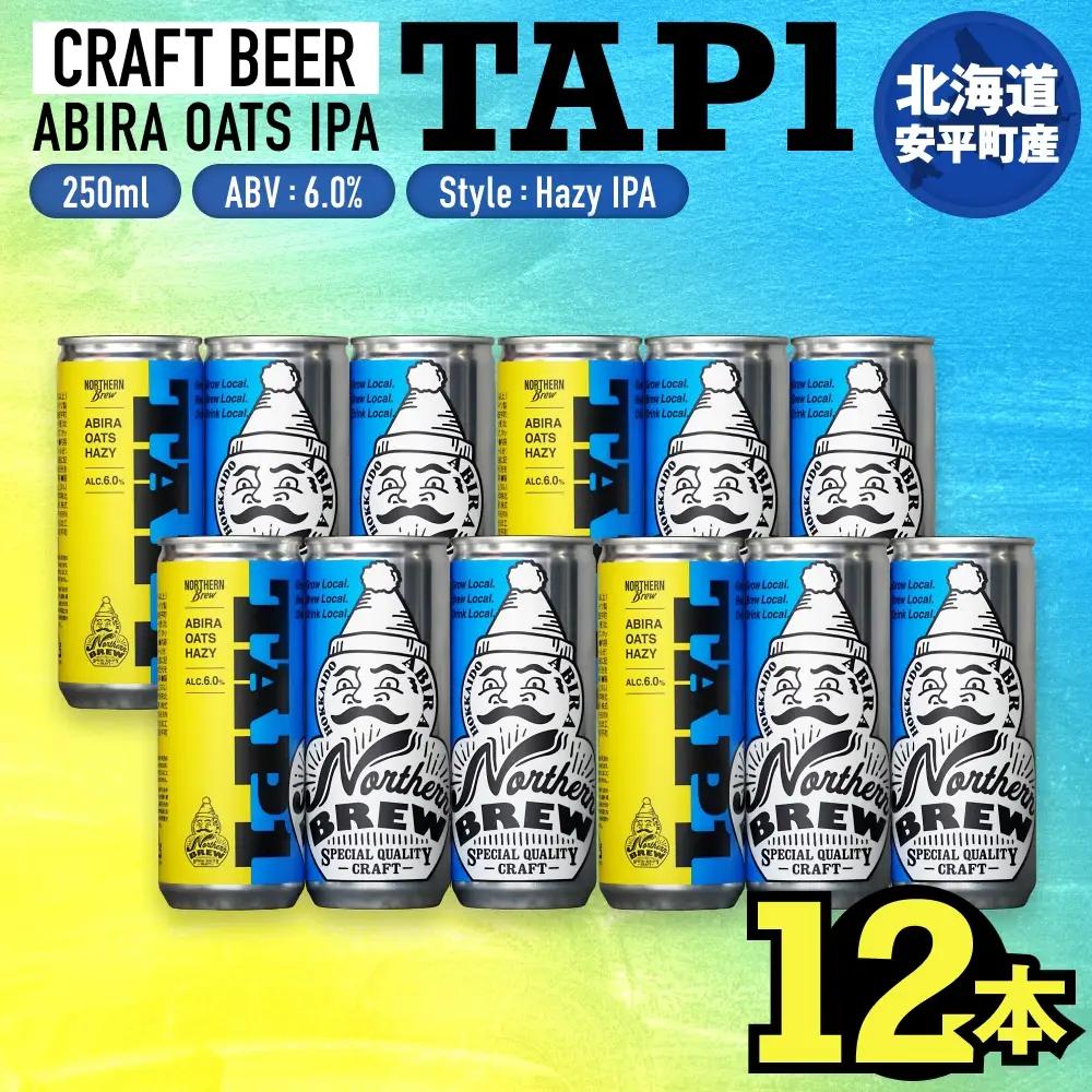 クラフトビール NORTHERN BREW ＜TAP1(ABIRA OATS HAZY)＞ 250ml 12本 北海道 安平町 ビール 地ビール 缶ビール 人気 定番 ギフト