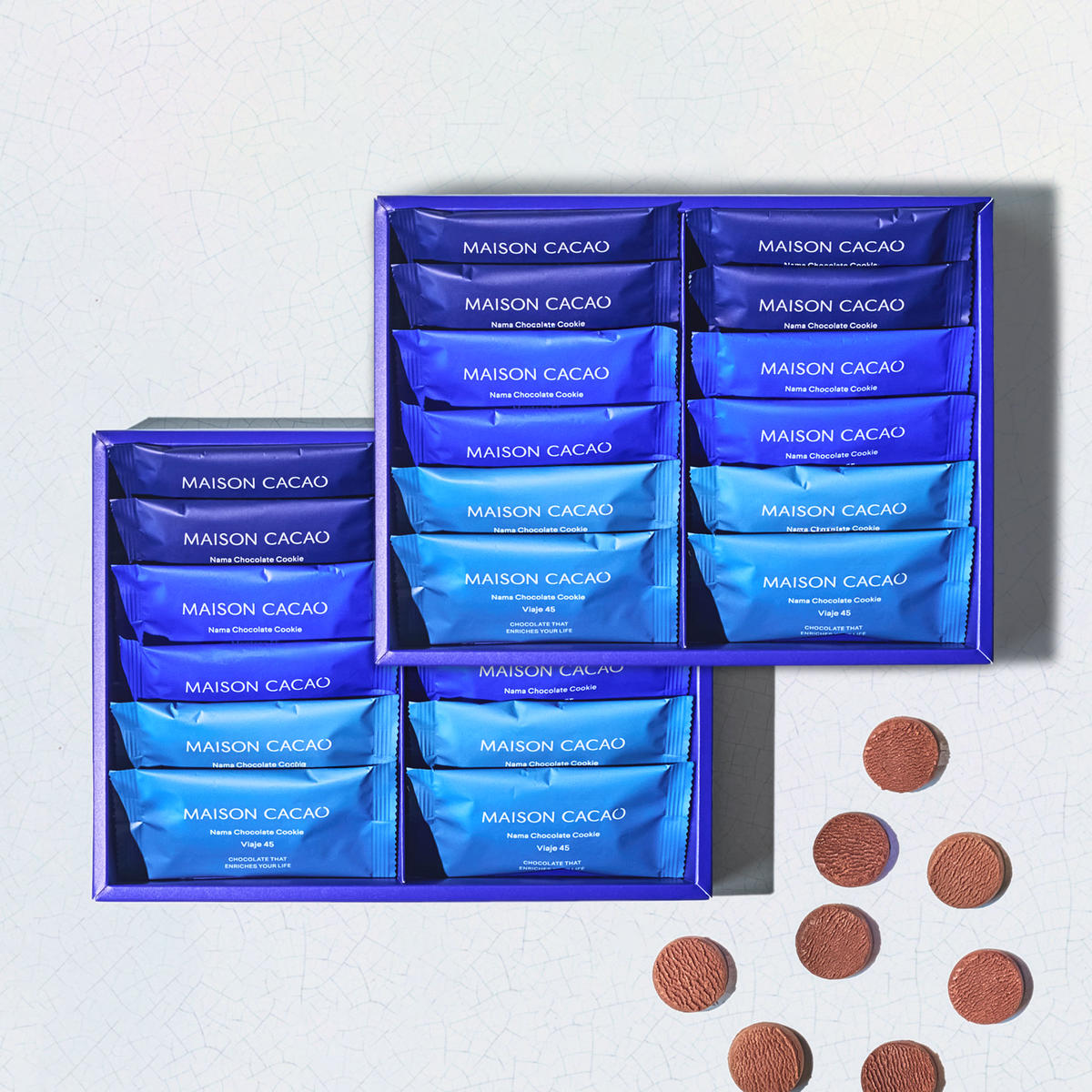 【ふるさと納税】MAISON CACAO メゾンカカオ 生チョコクッキー 3種24袋セット（各8袋）TERROIR 個包装 チョコレート菓子 神奈川県茅ヶ崎市