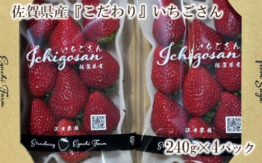 
                  佐賀県産『こだわり』いちごさん 240g×4パック 226-B1129
                