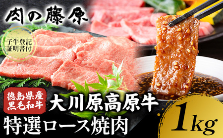 大川原高原牛 特選ロース 焼肉 1kg 冷凍便 肉の藤原《30日以内に出荷予定(土日祝除く)》和牛 希少 大川原高原 牛肉 焼肉 ロース 贅沢 バーベキュー BBQ キャンプ ギフト 贈答 徳島県 佐那河内村