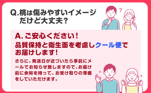 【2027年先行予約】 桃 トロっと とろける旨さ ブランド桃 あら川の桃 約2kg(5-8玉入り) お届け時期に合わせた品種を厳選してお届け!《2027年6月中旬-8月中旬頃出荷》【一部配送不可地域