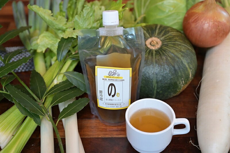 【ふるさと納税】【南足柄市・金太郎の力水使用】飲む野菜ファースト はちみつジンジャー×6本入【 出汁 スープ】【出汁 スープ ギフト プレゼント 贈り物 お返し おいしい まとめ買い 8種 野菜 食品ロス削減 飲む野菜 野菜だし 】