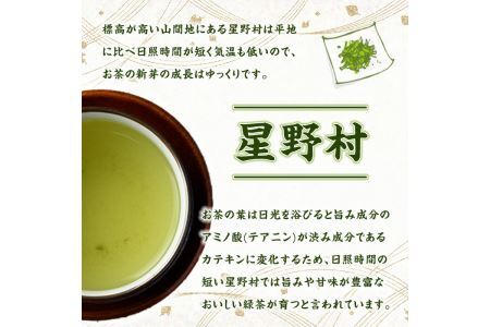 ＜定期便・全6回(連続)＞奥八女星野村 深蒸し高級煎茶(総量1.2kg・100g×2袋×6回) 八女茶 緑茶 せん茶 おちゃ お茶 やめ 深蒸し茶  常温 常温保存【ksg1347】【おどろきっちん】
