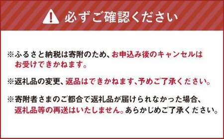 【令和7年産米】そうべい 北海道ゆめぴりか 計10kg お米 ゆめぴりか 【7営業日以内発送】
