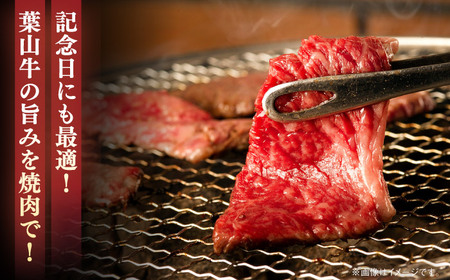 【全6回定期便】【葉山牛】500g ロース焼肉用 ／ 牛肉 黒毛和牛 神奈川県 特産品【葉山牛ステーキレストラン 角車】[ASBD055]