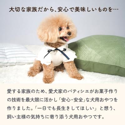 ふるさと納税 石巻市 ワンちゃんのおやつ 鶏 8袋 ドッグフード 犬 おやつ 無添加 グルテンフリー 国産 |  | 01