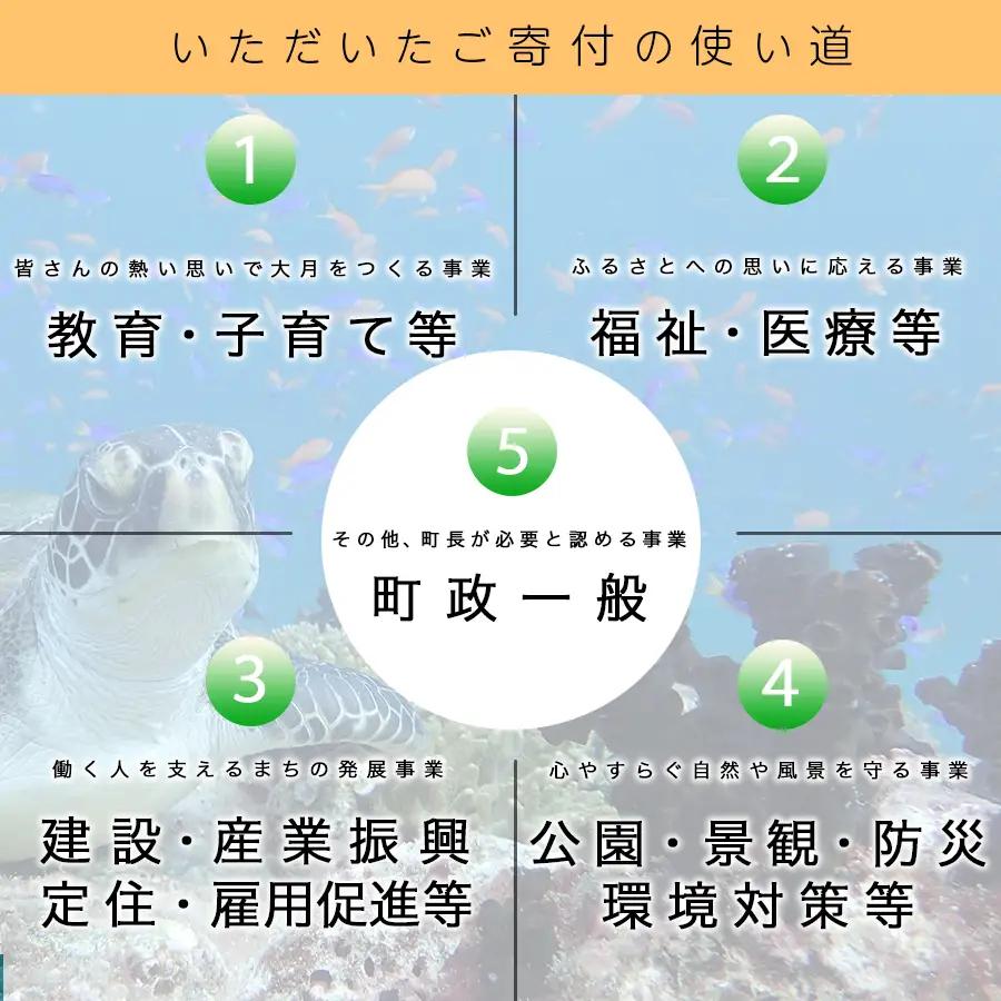 高知県大月町への応援寄付金【返礼品なし】