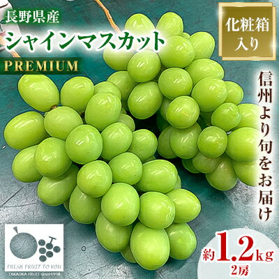 【ふるさと納税】「産地より信州中野の旬をお届け」 シャインマスカット　PREMIUM　約1.2kg　【配送不可地域：離島】【1311086】