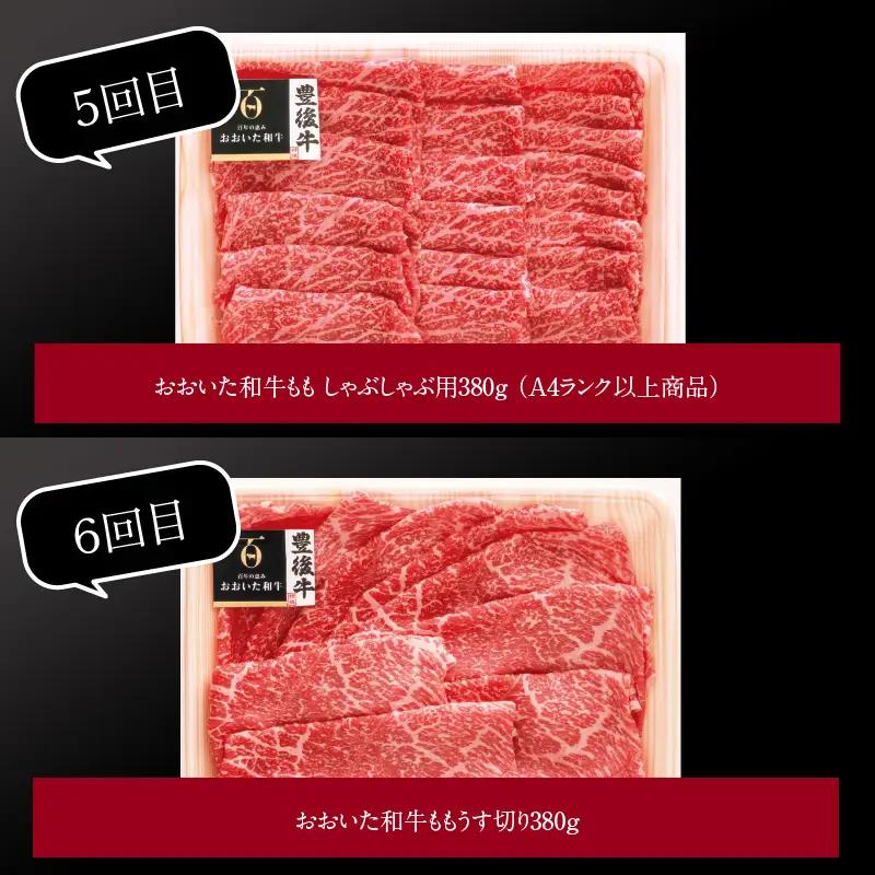 【定期便】大分県産黒毛和牛（おおいた和牛）・米の恵みプレミアム豚 バラエティ定期便 毎月6回お届け A01081