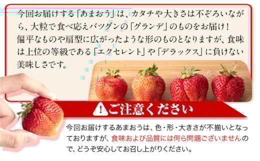 ★2025年出荷分★【先行予約】あまおう いちご 1080g 【着日指定不可】《3月中旬-4月末頃出荷予定》いちご イチゴ フルーツ 特産品 ---fn_ckrama_bc3_25_9000_1080