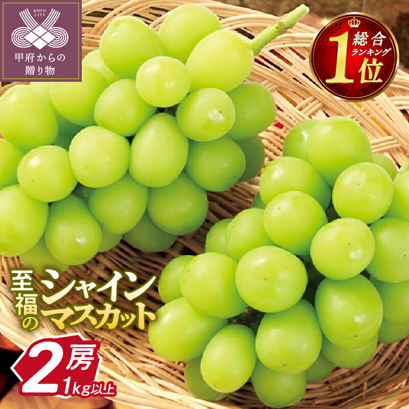 【ふるさと納税】 2026年 先行予約 ☆総合1位獲得★ 【高評価 ★4.50】シャイン 山梨 県産 ぶどう シャインマスカット フルーツ 王国山梨 人気 ランキング 果物 2房 冷蔵 1.0kg以上 種なし 大粒 高級 甘い 【2026年8月中旬〜10月上旬頃順次発送】 k245-002