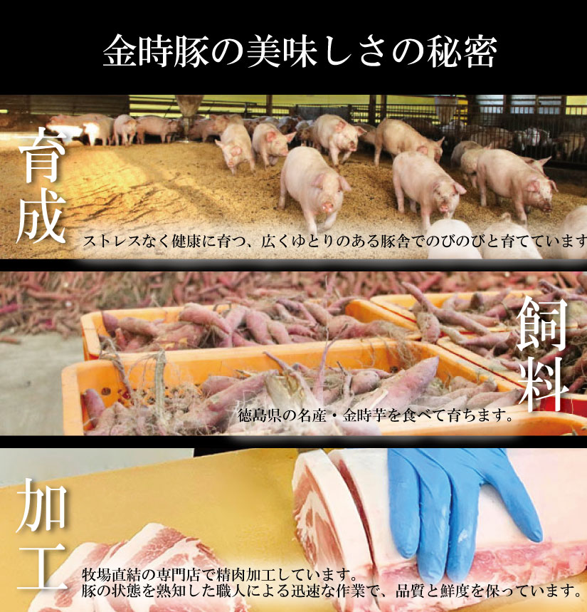 阿波の金時豚 豚肉 切り落とし 2kg (500g×4) ブランド豚 金時豚 小分け 真空パック 冷凍 国産 赤身 ウデ モモ 生姜焼き 野菜炒め 豚汁 豚丼 中華炒め 豚こま 鍋 ポークカレー カレ