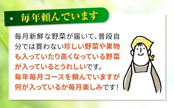 野菜 フルーツ 果物 定期便 旬 新鮮 詰合せ 野菜セット フルーツ定期便 