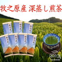 【ふるさと納税】牧之原産深蒸し煎茶「赤富士」7本セット