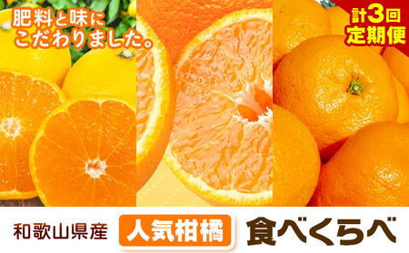 人気柑橘食べくらべ定期便 全3回 計15kg 柑橘 みかん 定期便 st-p
