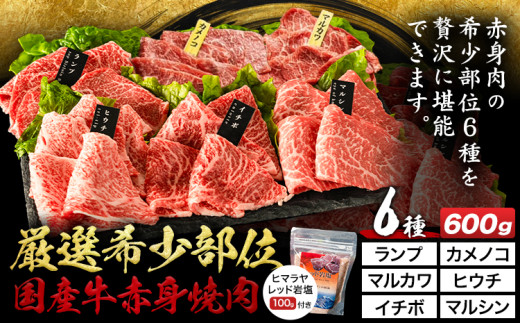 厳選希少部位国産牛赤身焼肉6種セット 約600g (株)仲辻《30日以内に出荷予定(土日祝除く)》大阪府 羽曳野市 希少部位 厳選 赤身 国産牛 肉 牛肉 ランプ カメノコ マルカワ ヒウチ イチボ マルシン
