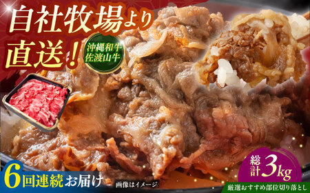 牛肉 焼肉 【全6回定期便】【厳選！おすすめ部位】沖縄和牛 佐渡山牛 切り落とし 500g  BCBC009 牛肉