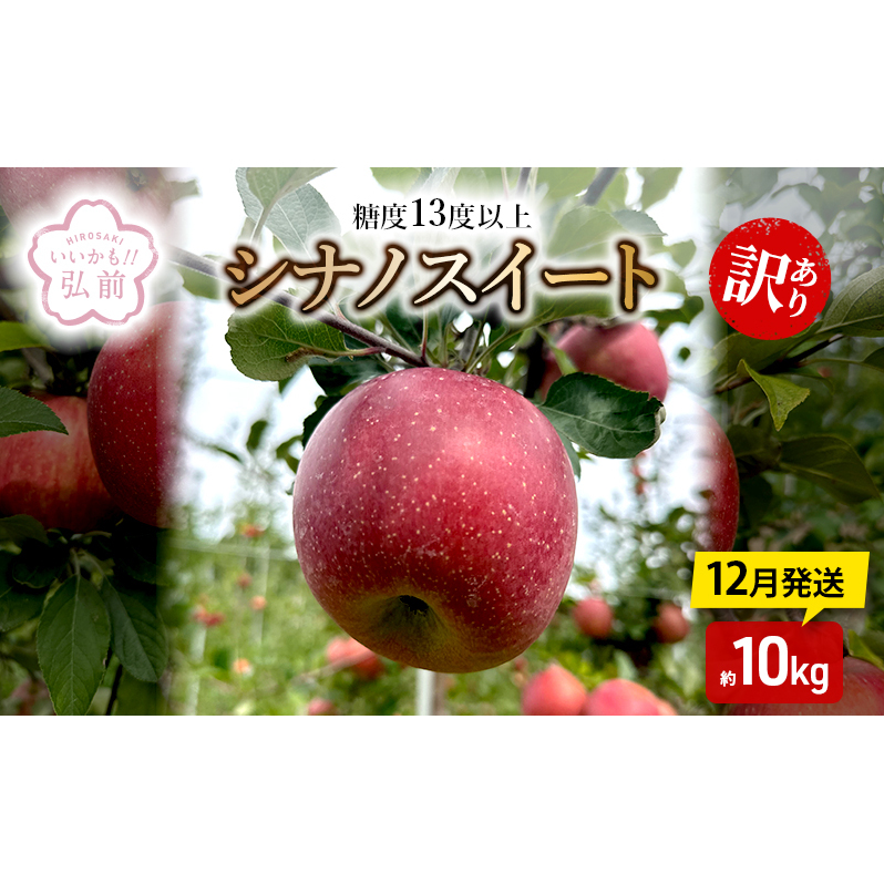 りんご 【 12月発送 】 糖度13度以上 訳あり シナノスイート 約 10kg 【 弘前市産 青森りんご 】