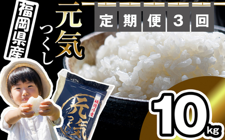 【 定期便 ・全3回 】《令和5年産》 福岡県産 ブランド 米「 元気つくし 」合計 30kg ( 10kg × 3回 ) 毎月お届け NP004-1