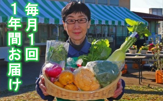 
厳選・「おおばん市場」旬の野菜詰め合わせ　毎月1回1年間お届け定期便　【11246-0173】
