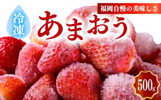 冷凍あまおう小分けパック500g（250ｇ×2個）いちご あまおう 福岡県産苺 いちご あまおう イチゴ 苺 あまおう 苺 数量限定 苺 いちご あまおう 福岡県産 苺 いちご あまおう