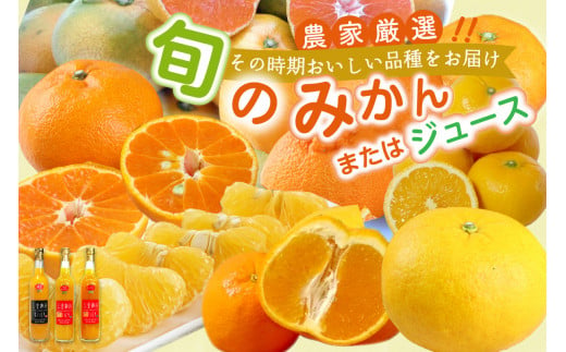 旬のみかん又はジュースを毎月発送（10回） 果物 フルーツ みかん 定期便 定期 10回 オレンジ オレンジジュース みかんジュース 光センサー 