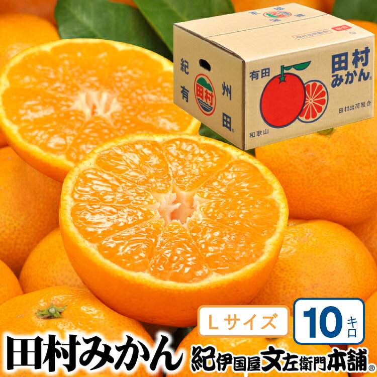 【ふるさと納税】 田村みかん 特選ギフト品 10kg【Lサイズ】赤秀/紀州和歌山有田郡湯浅町田村地区産 ◆2026年11月下旬〜2027年1月中旬頃に順次発送(お届け日指定不可) 紀伊国屋文左衛門本舗