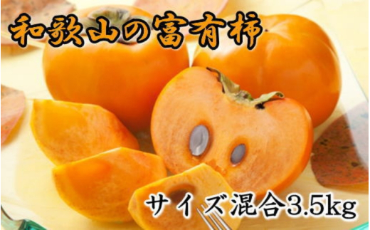 【2026年秋・発送分！】[甘柿の王様]和歌山産富有柿約3.5kgサイズ混合★2026年10月下旬頃より順次発送【tec980A】