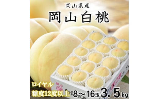 ＜先行受付＞岡山白桃 ロイヤル 8～16玉 3.5kg 岡山県産【1424431】
