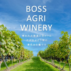 北見産ぶどう100％のワイン 桜夢雫 ( 緋色ロゼ ワイン 国産 ブドウ ロゼ 辛口 750ml )【075-0002】