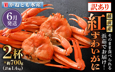 【訳あり】≪浜茹で≫越前産 紅ずわいがに 約700g × 4杯 食べ方しおり付【6月発送分】【紅ズワイガニ カニ かに 蟹 姿 ボイル 冷蔵 福井県】希望日指定不可 [e14-x025_06]